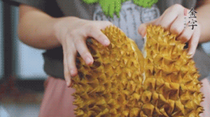 榴蓮剝好肉后，搗成泥狀。