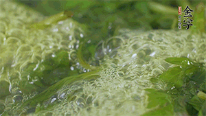 艾草葉放入煮沸的水中，加點(diǎn)食用堿，待變成深綠色時(shí)撈出，放入冰水中，瀝干備用。