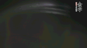 剝去外殼的筍、切花刀的香菇、豌豆入沸水焯水。