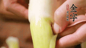 茭白剝?nèi)ネ鈿?，先切片再切絲。