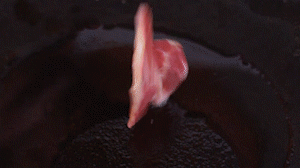 鍋中倒入橄欖油燒熱，放入淡火腿小火煸炒至打卷狀態(tài)。