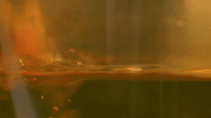 雞肉、鹽、料酒入冷水鍋水開(kāi)后撇去浮沫，溫水洗凈。