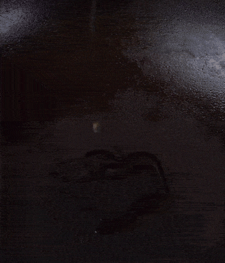 冷鍋熱油，下蒜片爆香，下香腸、玉米筍、蓮藕、西芹爆炒，期間加點(diǎn)水，翻炒1分鐘后加新鮮百合片，翻炒30秒。