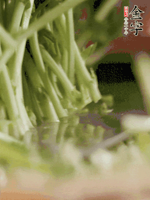 新鮮豌豆苗割下洗凈。